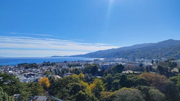 小田原城に投稿された画像（2023/11/19）