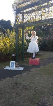 京成バラ園に投稿された画像（2023/11/19）