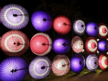 国営昭和記念公園 秋の夜散歩に投稿された画像（2023/11/19）