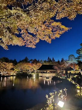 国営昭和記念公園 秋の夜散歩に投稿された画像（2023/11/19）