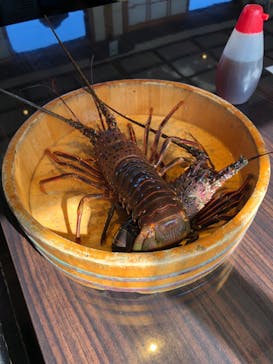 鳥羽　海鮮料理　屋形船　おきたに投稿された画像（2023/11/19）