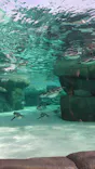 天王寺動物園に投稿された画像（2023/11/19）