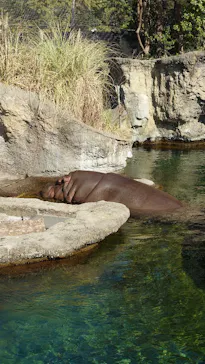 天王寺動物園に投稿された画像（2023/11/19）