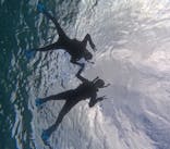 宮古島 ADVENTURE PiPi（ミヤコジマ アドベンチャー ピピ）に投稿された画像（2023/11/19）