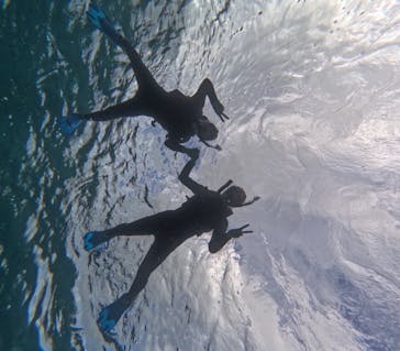 宮古島 ADVENTURE PiPi（ミヤコジマ アドベンチャー ピピ）に投稿された画像（2023/11/19）