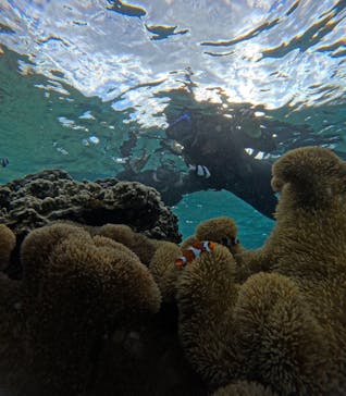 宮古島 ADVENTURE PiPi（ミヤコジマ アドベンチャー ピピ）に投稿された画像（2023/11/19）