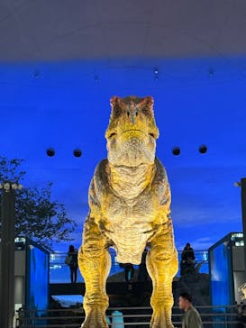 福井県立恐竜博物館に投稿された画像（2023/11/19）