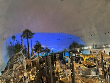 福井県立恐竜博物館に投稿された画像（2023/11/19）