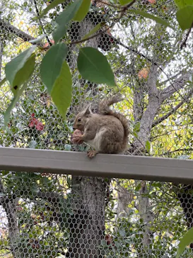 神戸どうぶつ王国に投稿された画像（2023/11/19）