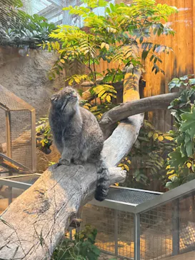 神戸どうぶつ王国に投稿された画像（2023/11/19）