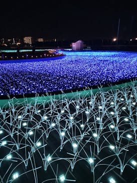 東京メガイルミに投稿された画像（2023/11/19）