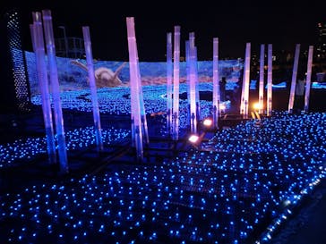 東京メガイルミに投稿された画像（2023/11/19）