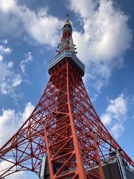 東京タワーに投稿された画像（2023/11/19）