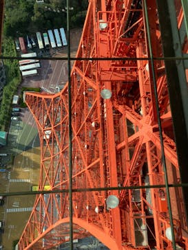 東京タワーに投稿された画像（2023/11/19）