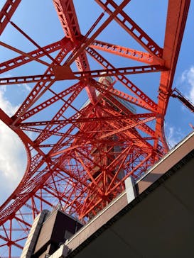 東京タワーに投稿された画像（2023/11/19）