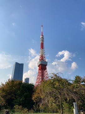 東京タワーに投稿された画像（2023/11/19）