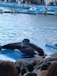名古屋港水族館に投稿された画像（2023/11/19）
