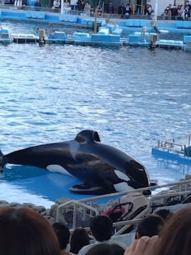 名古屋港水族館に投稿された画像（2023/11/19）