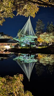 国営昭和記念公園 秋の夜散歩に投稿された画像（2023/11/19）