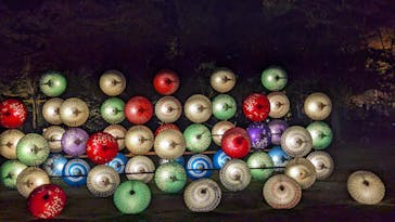 国営昭和記念公園 秋の夜散歩に投稿された画像（2023/11/19）