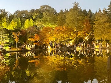 国営昭和記念公園 秋の夜散歩に投稿された画像（2023/11/19）