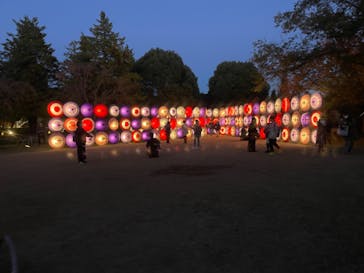 国営昭和記念公園 秋の夜散歩に投稿された画像（2023/11/19）