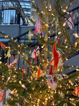 安城産業文化公園デンパークに投稿された画像（2023/11/19）