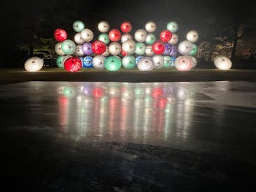 国営昭和記念公園 秋の夜散歩に投稿された画像（2023/11/19）