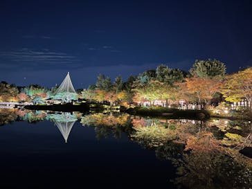 国営昭和記念公園 秋の夜散歩に投稿された画像（2023/11/19）