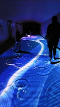 東京メガイルミに投稿された画像（2023/11/19）