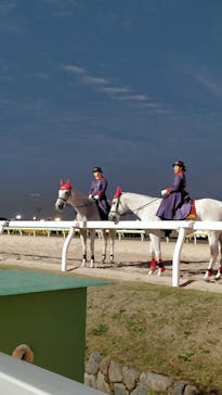 東京メガイルミに投稿された画像（2023/11/19）
