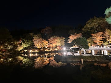 国営昭和記念公園 秋の夜散歩に投稿された画像（2023/11/19）
