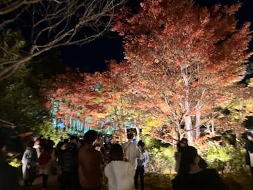 国営昭和記念公園 秋の夜散歩に投稿された画像（2023/11/19）