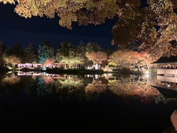 国営昭和記念公園 秋の夜散歩に投稿された画像（2023/11/19）