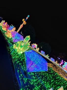 伊豆ぐらんぱる公園に投稿された画像（2023/11/19）