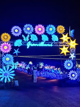 伊豆ぐらんぱる公園に投稿された画像（2023/11/19）