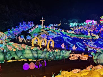 伊豆ぐらんぱる公園に投稿された画像（2023/11/19）