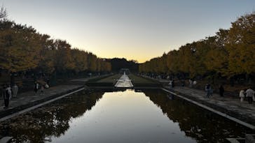 国営昭和記念公園 秋の夜散歩に投稿された画像（2023/11/19）