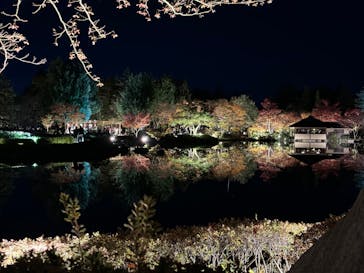 国営昭和記念公園 秋の夜散歩に投稿された画像（2023/11/19）