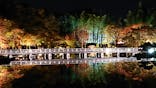 国営昭和記念公園 秋の夜散歩に投稿された画像（2023/11/19）