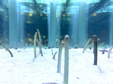 すみだ水族館に投稿された画像（2023/11/19）