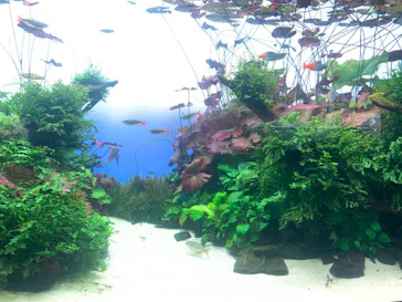 すみだ水族館に投稿された画像（2023/11/19）