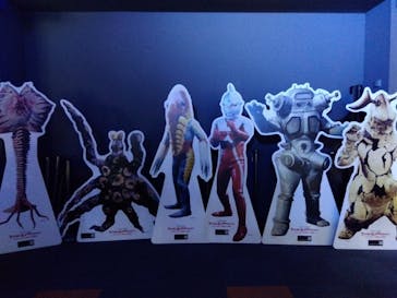 新江ノ島水族館に投稿された画像（2023/11/19）