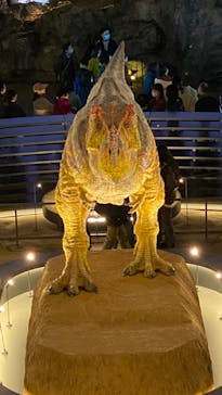 福井県立恐竜博物館に投稿された画像（2023/11/19）