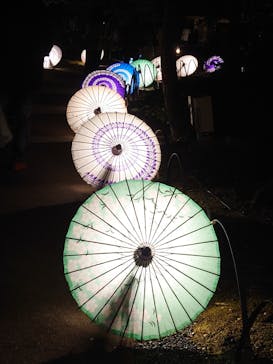 国営昭和記念公園 秋の夜散歩に投稿された画像（2023/11/19）