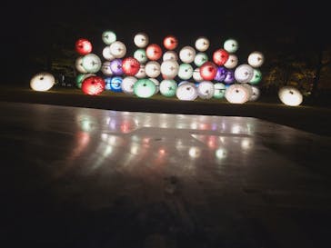 国営昭和記念公園 秋の夜散歩に投稿された画像（2023/11/19）