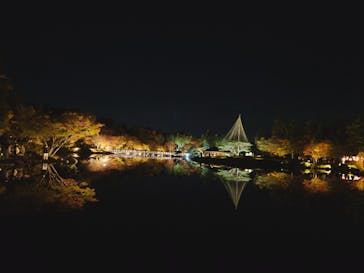 国営昭和記念公園 秋の夜散歩に投稿された画像（2023/11/19）
