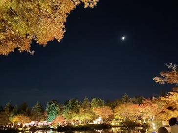 国営昭和記念公園 秋の夜散歩に投稿された画像（2023/11/19）