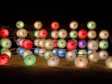 国営昭和記念公園 秋の夜散歩に投稿された画像（2023/11/19）