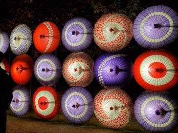 国営昭和記念公園 秋の夜散歩に投稿された画像（2023/11/19）